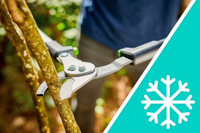 Nožnice na konáre strihajú konár