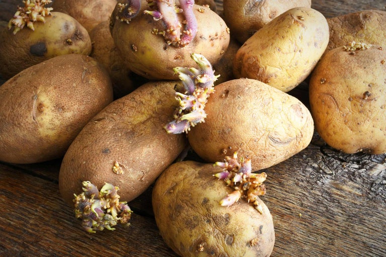 Niekoľko klíčiacich zemiakov na drevenom povrchu.