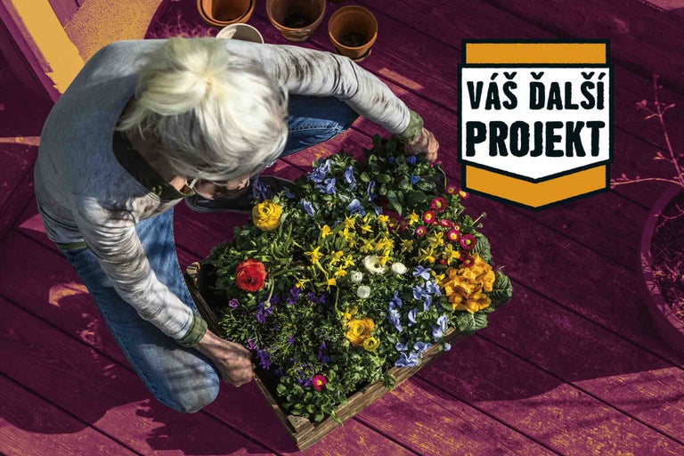 Žena sadí kvety do drevenej debničky, projekt záhradnej úpravy