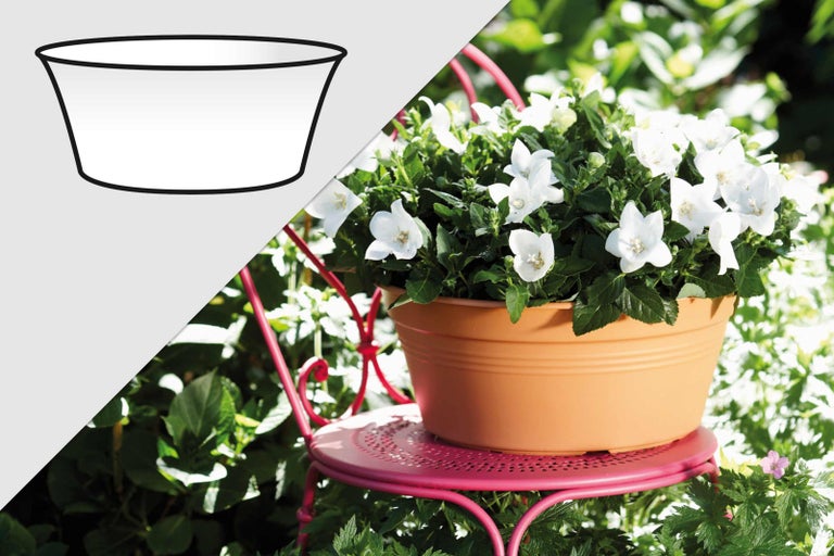 Kvetináč s bielymi kvetmi na ružovej stoličke a schematické znázornenie kvetináča