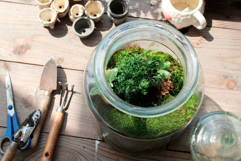 Terárium s rastlinami, machom a záhradným náradím na drevenom stole