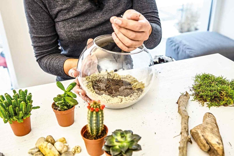 Žena plní sklenenú nádobu zeminou vedľa kaktusov a dekorácií na stole