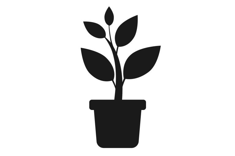 Symbol rastliny v kvetináči