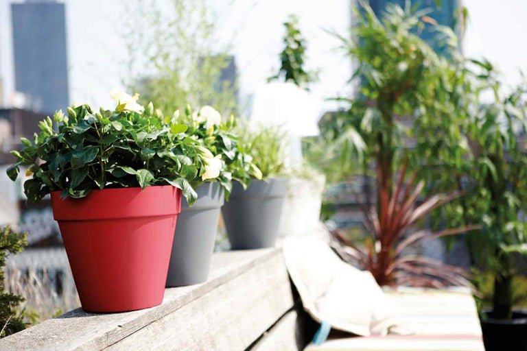 Rad kvetináčov s rastlinami na terase