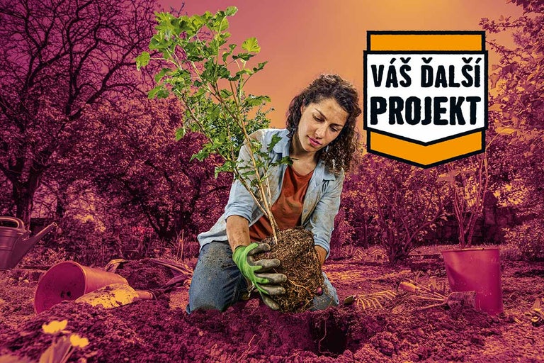 Žena kľačí v záhrade a sadí krík s koreňovým balom do zeme, záhradné rukavice, Hornbach Logo Váš ďalší projekt.