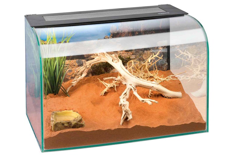 Zariadené terárium so sklom, pieskom, koreňovým drevom, miskou na jedlo a vodu