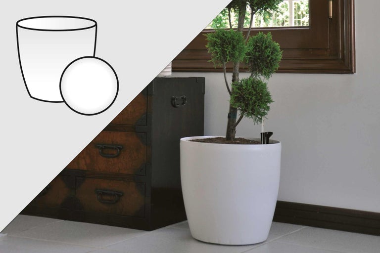 Rastlina v okrúhlom kvetináči so zavlažovacím systémom