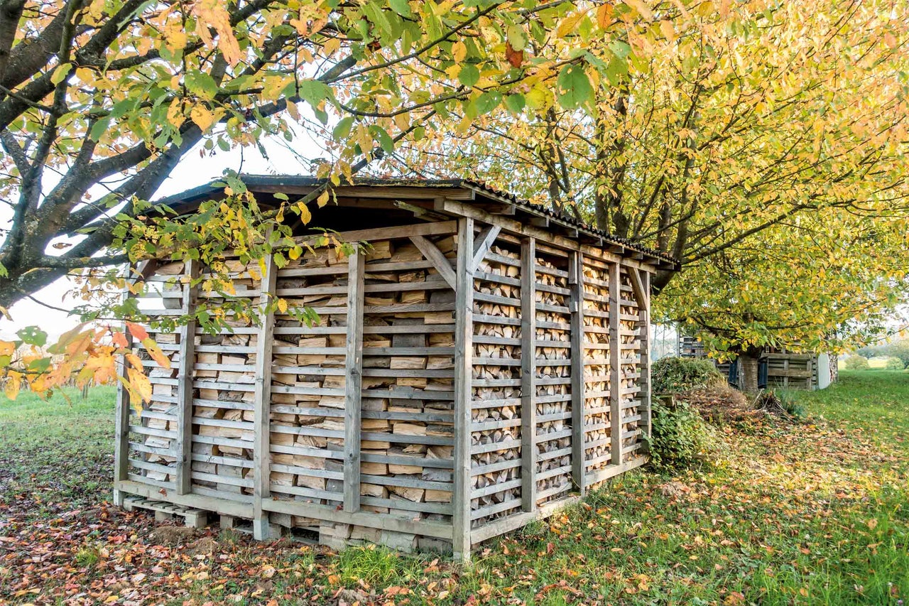 Dreváreň s naskladaným drevom pod stromom