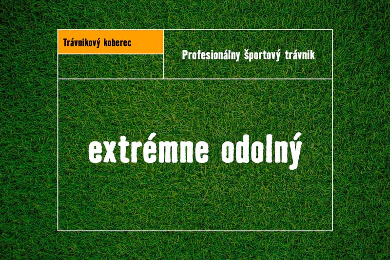 Umelý trávnik pre športové ihriská, extrémne odolný
