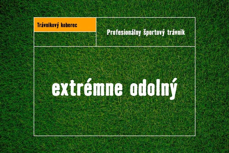 Umelý trávnik pre športové ihriská, extrémne odolný