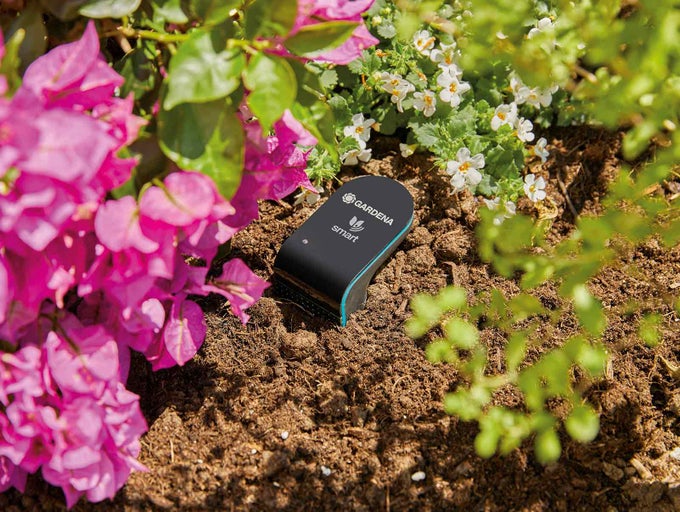 Gardena Smart Sensor v kvetinovej záhrade