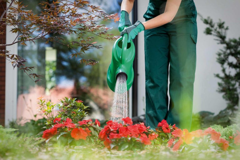 Záhradník zalieva kvety kanvou
