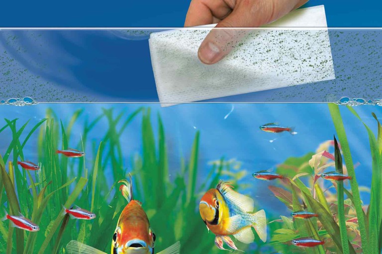 6 krokov, ako vyčistiť akvárium