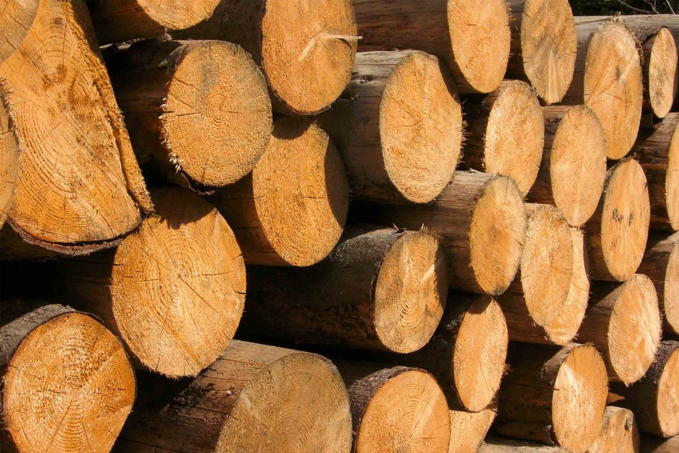 4 tipy, ako pripraviť palivové drevo na zimu 4 tipy, ako pripraviť palivové drevo na zimu