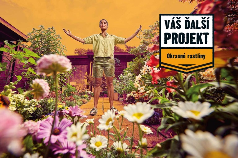 Krásu strieda nádhera alebo okrasné rastliny vo vašej záhrade Krásu strieda nádhera alebo okrasné rastliny vo vašej záhrade
