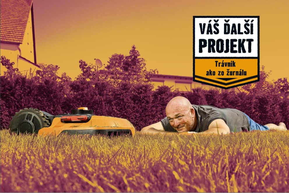 
						Trávnik ako zo žurnálu
					