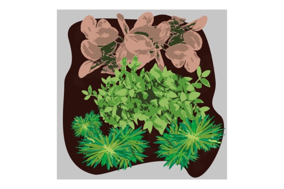 Ako si vyrobiť florárium Ako si vyrobiť florárium