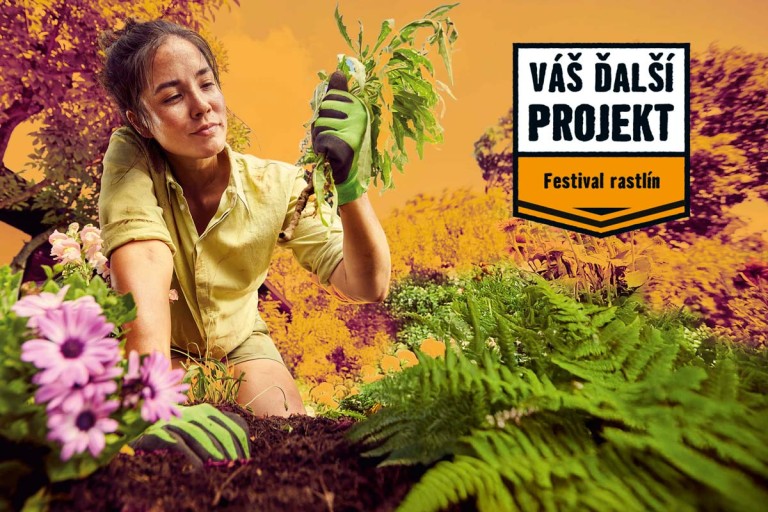 Usporiadajte si svoj vlastný festival rastlín Usporiadajte si svoj vlastný festival rastlín