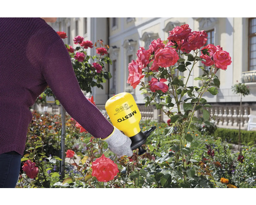 Použitie tlakového postrekovača MESTO v záhrade na ošetrovanie ruží