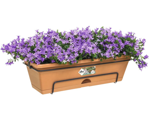 Kvetináč s fialovými zvončekmi a držiakom