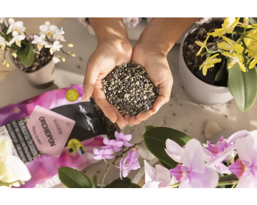 Ruky držia substrát pre orchidey obklopené orchideami