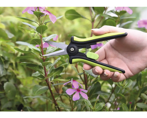 Záhradné nožnice v ruke pred rastlinami