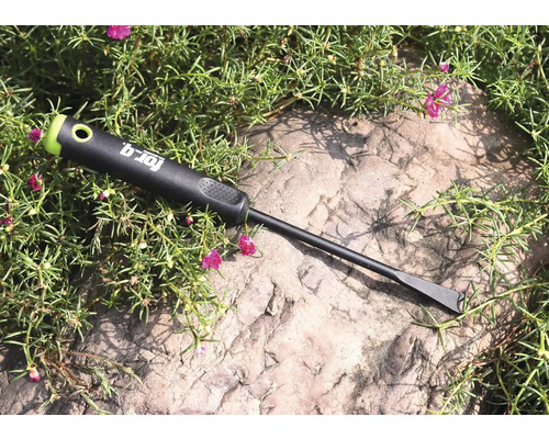 Vyrývač buriny For_q na kameni s rastlinami