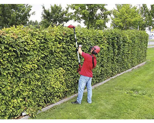 Osoba strihá zelený živý plot nožnicami na živý plot.