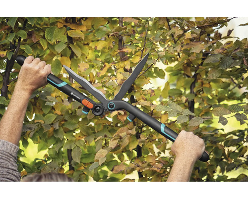 Záhradné nožnice v akcii na živom plote