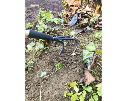 Záhradná motyka používaná medzi hlinou a rastlinami