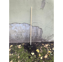 Motyka s drevenou násadou na záhradné práce