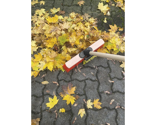 Hrabla na lístie na dlažobných kockách s jesenným lístím