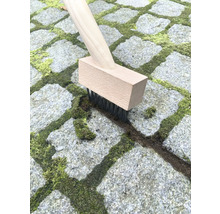 Kefa na škáry s drevenou rukoväťou čistí dlažobné kocky od machu