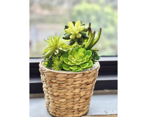 Sukulentné aranžmán v pletenom košíku