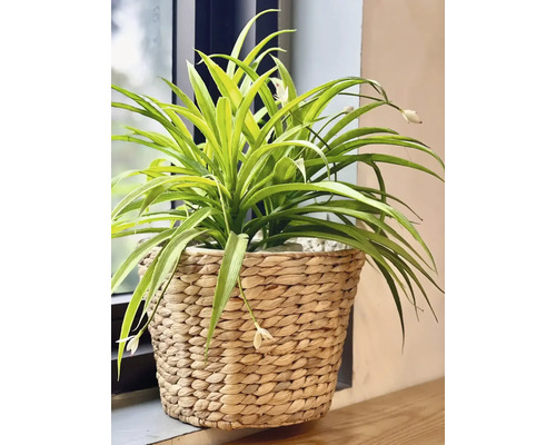 Umelá zelená rastlina s kvetmi v pletenom košíku