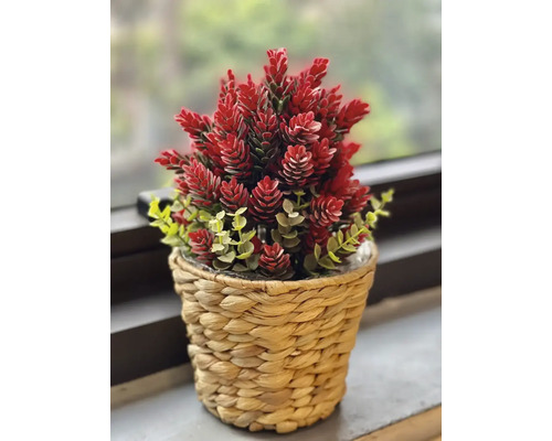 Umelá rastlina s červenými kvetmi v pletenom kvetináči