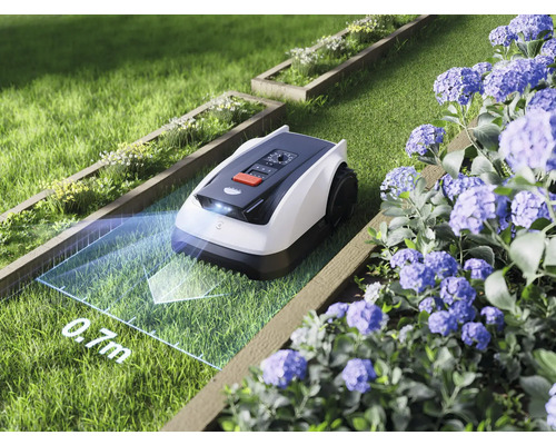 Robotická kosačka na trávniku s kvetinovými záhonmi