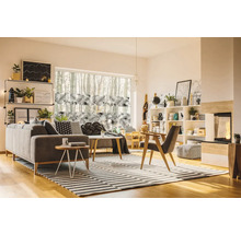 Obývacia izba s pohovkou, policami, oknom a pruhovaným kobercom