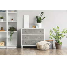 Komoda s tromi zásuvkami, regál a izbové rastliny vo svetlej miestnosti.