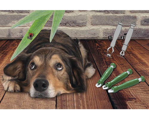 Pes leží smutne na zemi vedľa pinziet na kliešte a kliešťa na liste