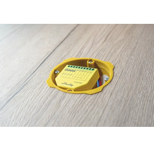 Logo stmievača Shelly v zapustenej krabici