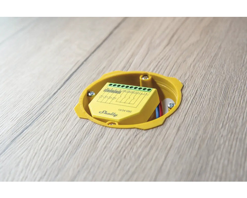 Logo stmievača Shelly v zapustenej krabici