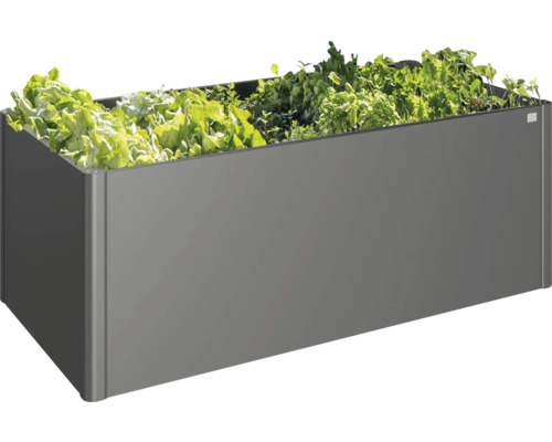 Sivý kvetináč s rôznymi rastlinami