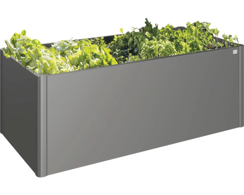 Vyvýšený záhon so šalátom a bylinkami