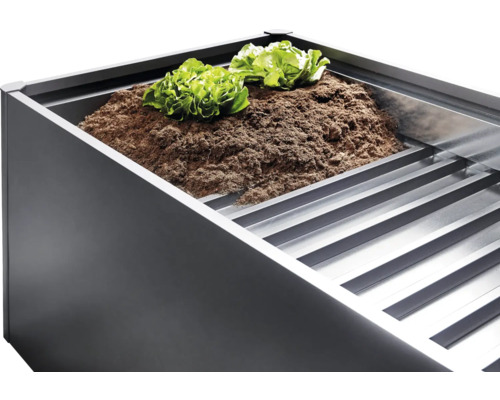 Vyvýšený záhon so zeminou a sadenicami šalátu