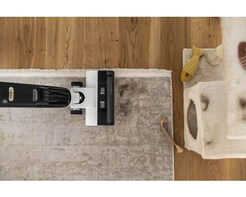 Pohľad zhora na vysávač, ktorý čistí koberec, vedľa ktorého stojí škrabadlo pre mačky.