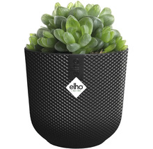 Sukulent v štruktúrovanom kvetináči značky Elho