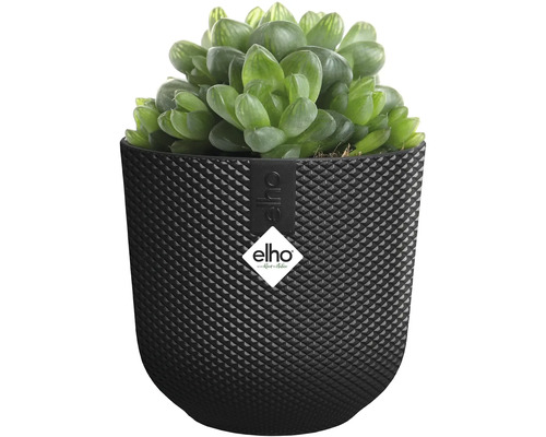 Izbová rastlina v čiernom kvetináči Elho s trojuholníkovou textúrou