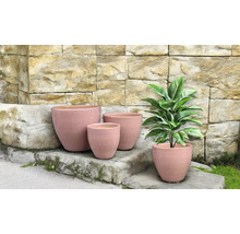 Kvetináče rôznych veľkostí pred kamenným múrom