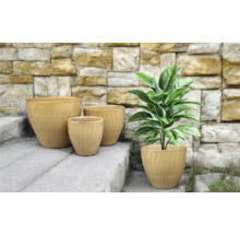 Usporiadanie štyroch kvetináčov na kamenných schodoch s rastlinou v jednej z nádob.